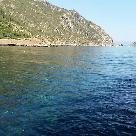 Sealife * Marettimo